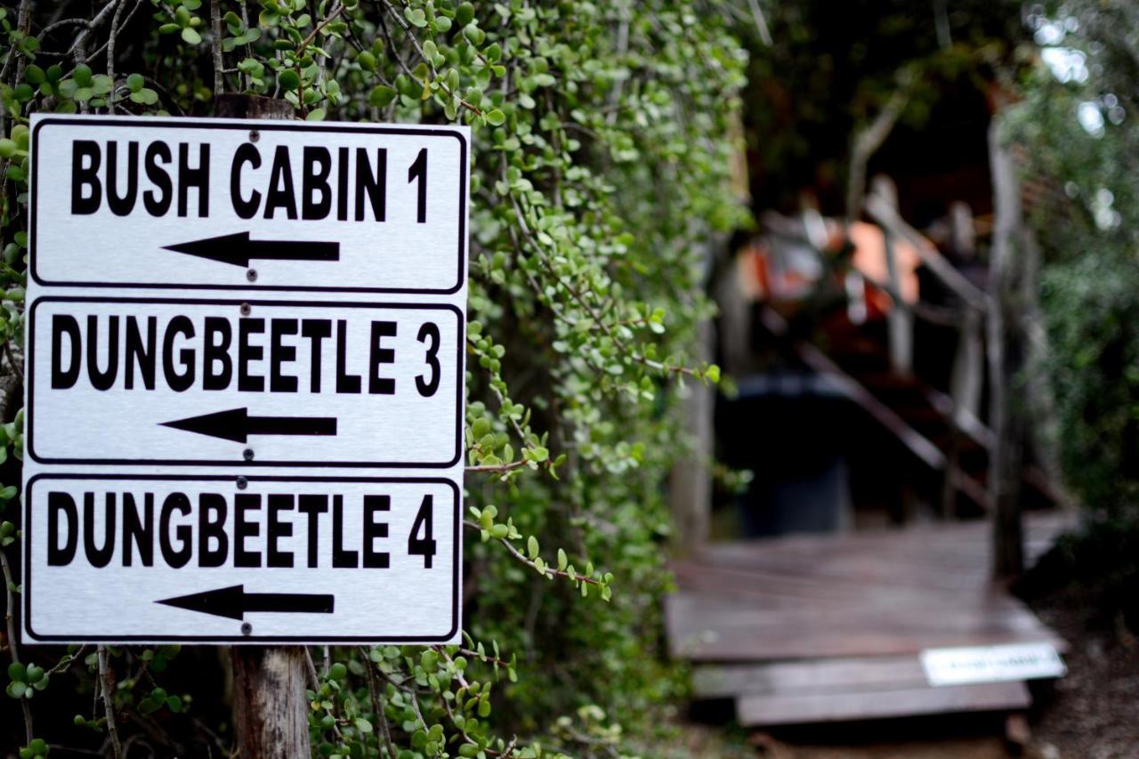 Addo Dung Beetle Guest Farm Villa Exterior photo